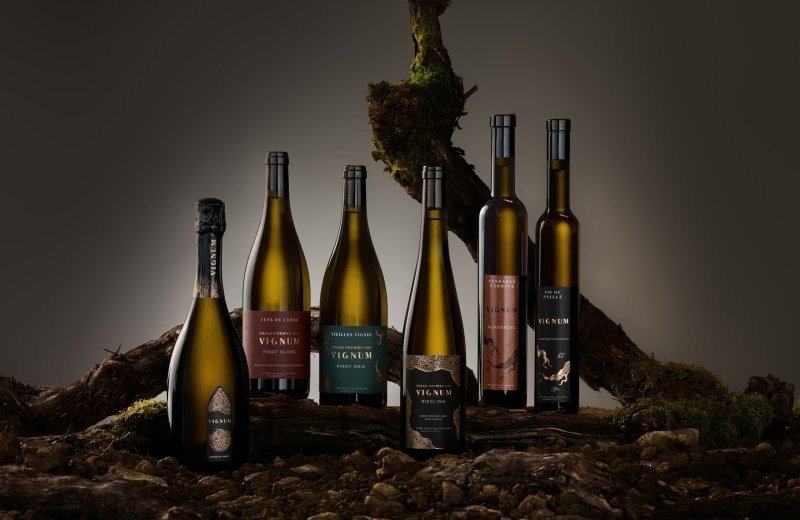 Exclusive Wine Tasting at our Camp